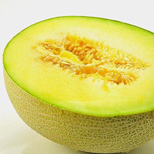 k♡　静岡アールスメロン6玉&amp;高知赤肉メロン5玉 Amazon.co.jp: 赤肉 メロン 果物 贈答用 大玉 1玉 (静岡メロン